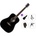 Pasadena PD-300 Premium SET Black Акустична китара