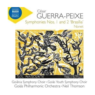 Goiana Symphony Choir Goias Youth Symphony Choir - Syms Nos. 1 & 2 Brasilia & Nonet CD – Hledejceny.cz