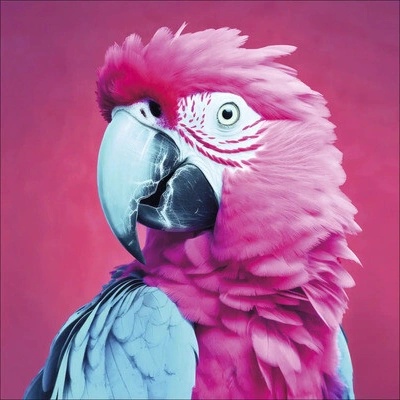 Skleněný obraz Pink Blue Parrot 50x50cm