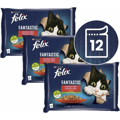 Felix Fantastic kuře hovězí 12 x 85 g
