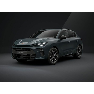 Cupra Terramar 1.5 eTSI DSG 110 kW