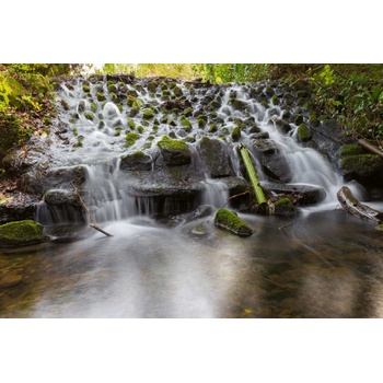 DIMEX ART s. r. o Флизелинов фототапет парк марлей, ирландия 375 x 250 см