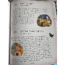 Fotka od používateľa 1