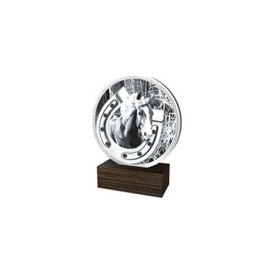 Poháry Bauer Dřevěná plaketa TFRW656 Jezdectví