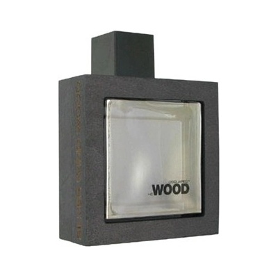 Dsquared2 Wood Silver Wind Wood toaletná voda pánska 100 ml Tester