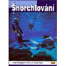 Šnorchlování