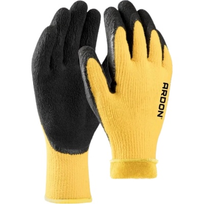 Ardon Petrax Winter