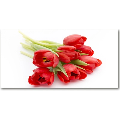 Foto obraz sklenený horizontálny červené tulipány 100x50 cm