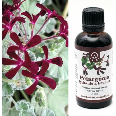 Herbarium Projekt Pelargónia pľúca a imunita, tinktúra, 50 ml
