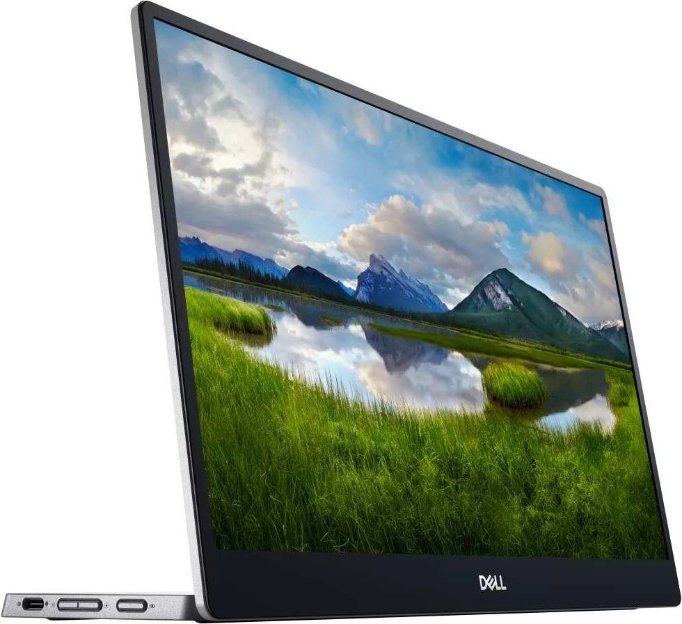 Dell P1424H