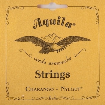 Aquila 1CH