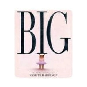 Big | HARRISON VASHTI (ISBN: 9780316353229)
