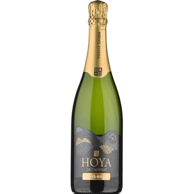 Vicente Gandia Hoya de Cadenas Cava brut biele 0,75 l
