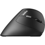 Rapoo EV250 (13531)