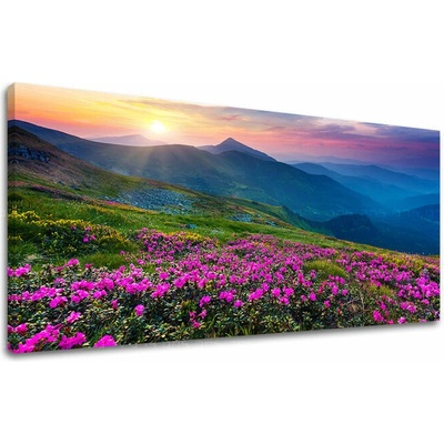 Papilora Obraz kvitnúcej lúky v slovenských horách na plátne — panoráma - 50x100 cm