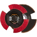 Rhodius Vějířovitý brusný kotouč 115 x 22.23 mm 210652