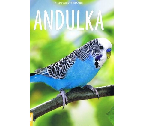Andulka