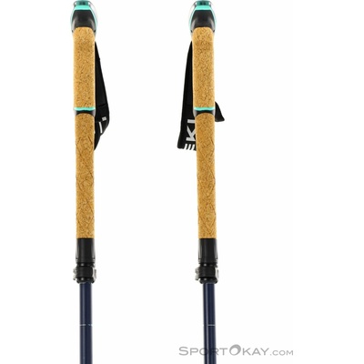 Leki BERNINA FX CARBON 1