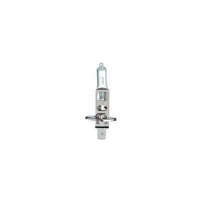Hejalux H1 P14,5s 24V 70W