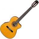 Ibanez GA5TCE