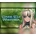 Dark Elf Historia
