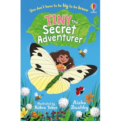Tiny, the Secret Adventurer Usborne Publishing
