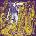 Sonic Sabbath - Chains CD