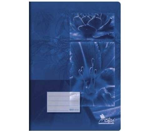 Notes Sešit ECO 460