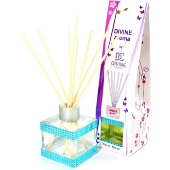 DIVINE D100 Osviežovač vzduchu 100 ml Lipový kvet