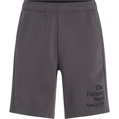 O'NEILL pánské kraťasy FUTURE SURF SOCIETY shorts 2700054-18021 šedá