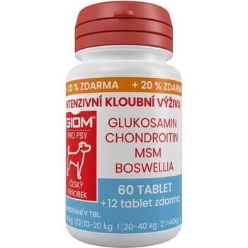 Giom ERA Intenzívna kĺbová výživa 60 tbl