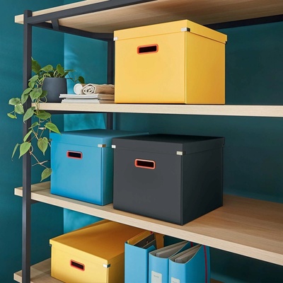 Leitz Sivý kartónový úložný box s vekom 32 x 36 x 31 cm
