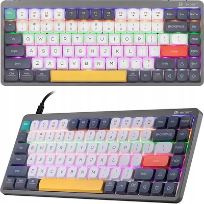 Tracer FINA 84 Grey Outemu Red Switch TRAKLA47279