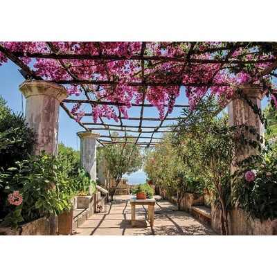 Postershop Fototapeta vliesováKvětinová pergola rozměry 184x254 cm