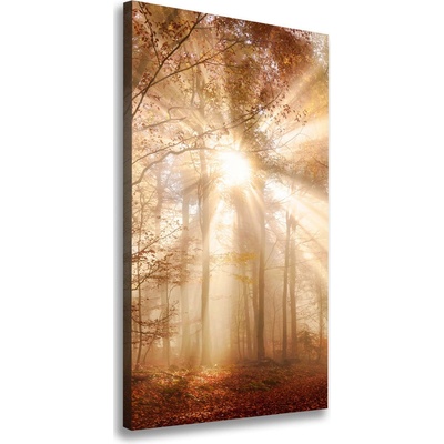 Vertikálny foto obraz canvas Les na jeseň 50x100 cm