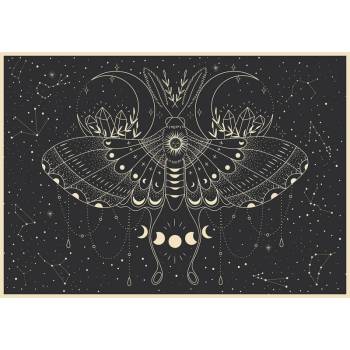 Image 1 of Interdruk - Puzzle Moon butterfly - 500 piese