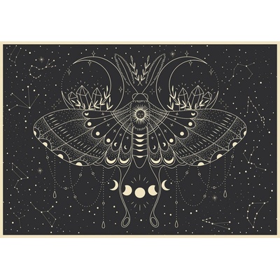 Interdruk - Puzzle Moon butterfly - 500 piese