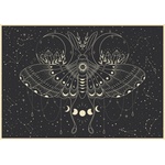 Interdruk - Puzzle Moon butterfly - 500 piese