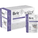 Brit VD Cat Pouch fillets in Gravy Gastrointest 12 x 85 g