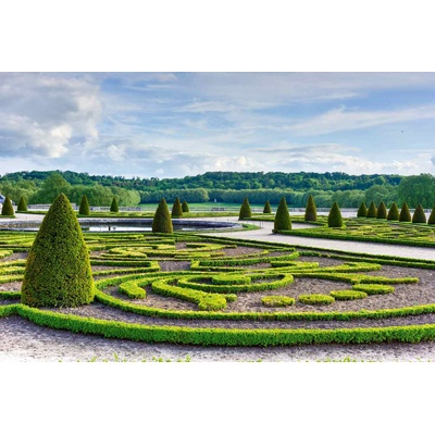 DIMEX ART Флизелинов фототапет версай, франция 375 x 250 см