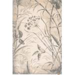 Agnella Кремав вълнен килим 300x400 cm Botany - Agnella (5901760344685)