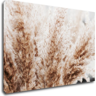 Impresi Obraz Suchá tráva škandinávsky štýl - 90 x 60 cm