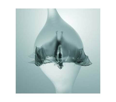 Unprocessed - Angel CD