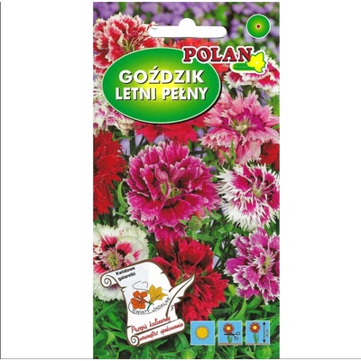 Čínsky klinček s plnou zmesou semien 1 g