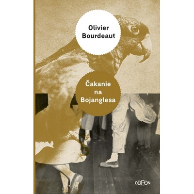 Čakanie na Bojanglesa - Oliver Bourdeaut