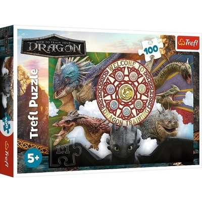 Puzzle Jak vycvičit draka Draci s akci 100 dílků