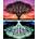 Norimpex - Puzzle Diamant painting: Tree 30x40 cm - 1 - 39 piese