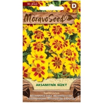 Nohel Garden Aksamitník rozkladitý jednoduchý, žlto-hnedý 03621