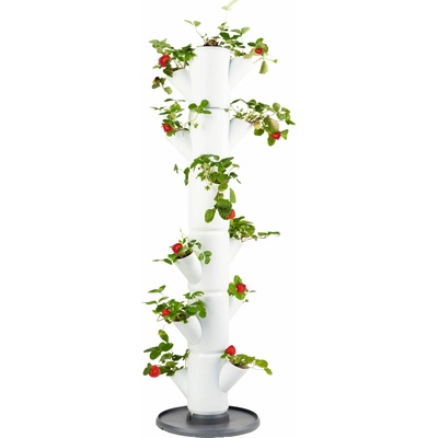 GUSTA GARDEN GG-100519