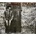 TRAMP MIKE: COBBLESTONE STREET CD